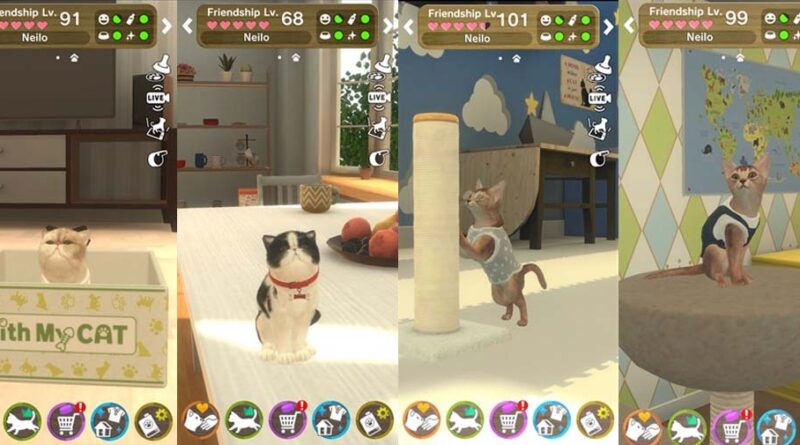 With My Cat ajoute Abyssinian et Exotic Shorthair au chat collectionnant la simulation d'animal de compagnie dans la dernière mise à jour  Des articles