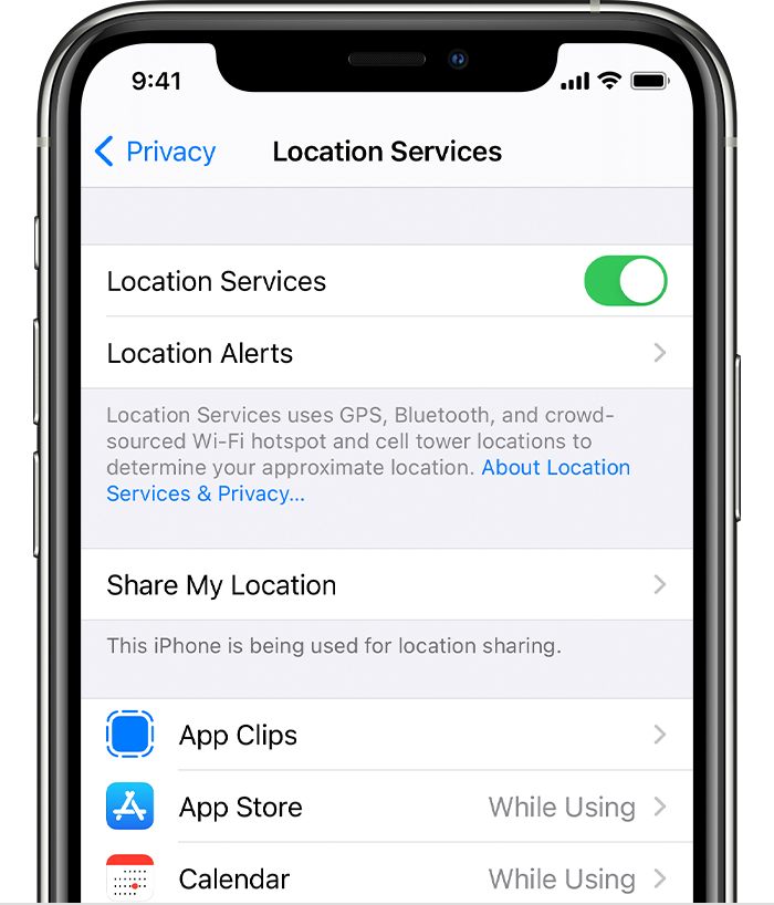 iPhone affichant des options dans les services de localisation, y compris des options pour les alertes de localisation et des paramètres spécifiques à l'application